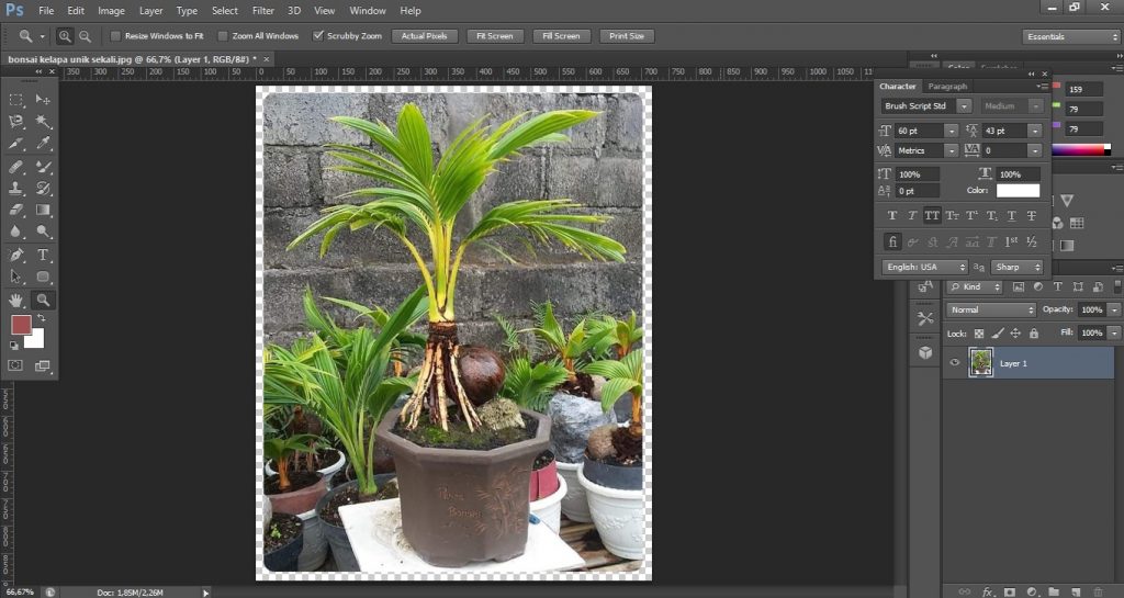 Cara Memberi Efek Sudut Foto Melengkung Menggunakan Photoshop | BlogIDN.com